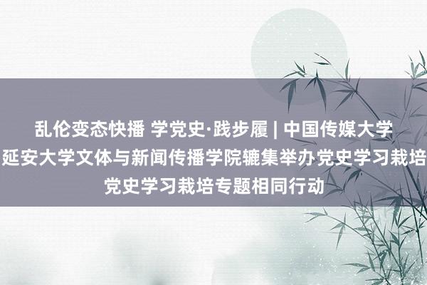 乱伦变态快播 学党史·践步履 | 中国传媒大学传播商榷院与延安大学文体与新闻传播学院辘集举办党史学习栽培专题相同行动