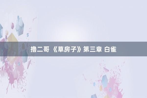 撸二哥 《草房子》第三章 白雀