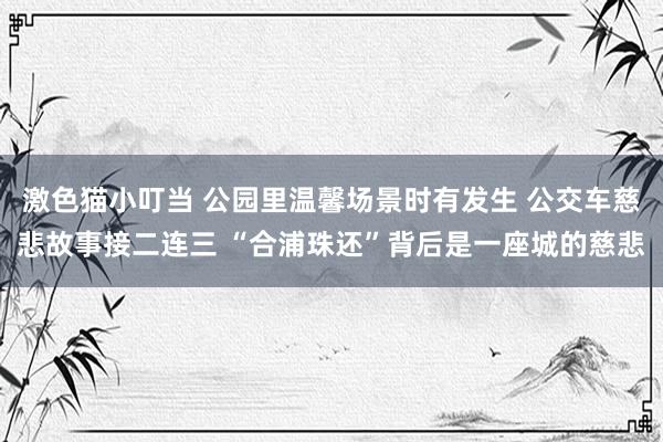 激色猫小叮当 公园里温馨场景时有发生 公交车慈悲故事接二连三 “合浦珠还”背后是一座城的慈悲