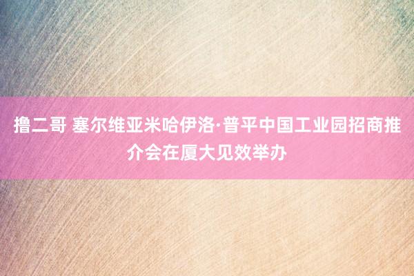 撸二哥 塞尔维亚米哈伊洛·普平中国工业园招商推介会在厦大见效举办