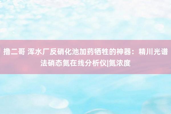 撸二哥 浑水厂反硝化池加药牺牲的神器：精川光谱法硝态氮在线分析仪|氮浓度