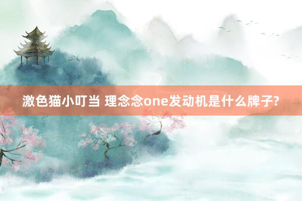 激色猫小叮当 理念念one发动机是什么牌子?