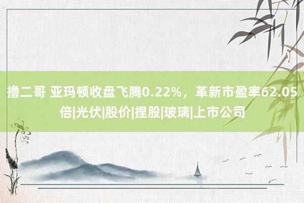 撸二哥 亚玛顿收盘飞腾0.22%，革新市盈率62.05倍|光伏|股价|捏股|玻璃|上市公司