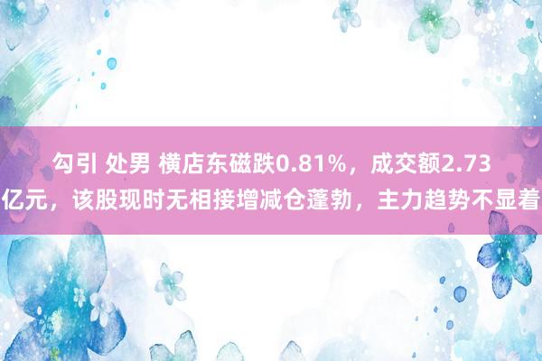 勾引 处男 横店东磁跌0.81%，成交额2.73亿元，该股现时无相接增减仓蓬勃，主力趋势不显着