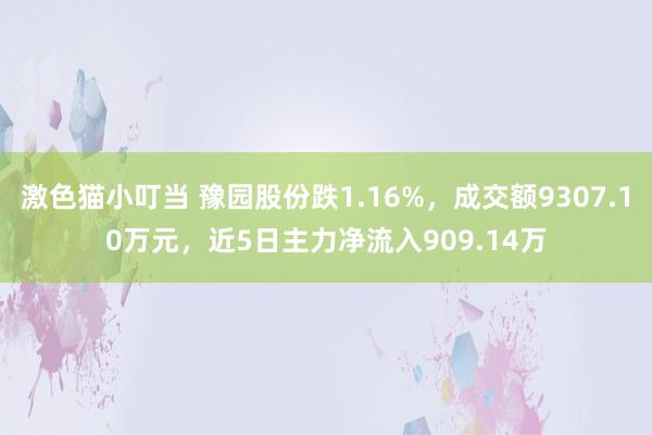 激色猫小叮当 豫园股份跌1.16%，成交额9307.10万元，近5日主力净流入909.14万