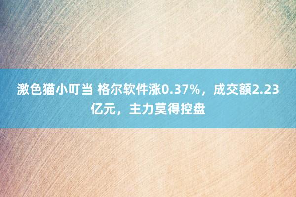 激色猫小叮当 格尔软件涨0.37%，成交额2.23亿元，主力莫得控盘