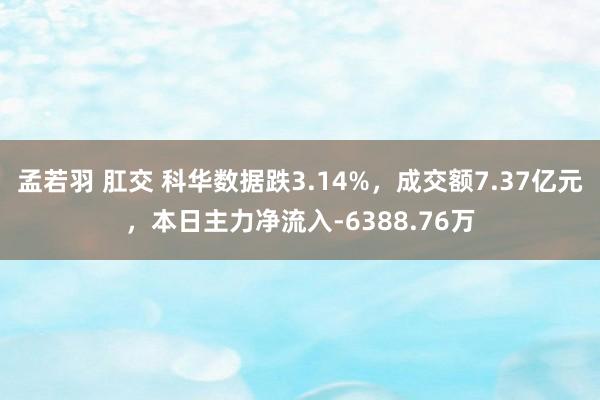 孟若羽 肛交 科华数据跌3.14%，成交额7.37亿元，本日主力净流入-6388.76万