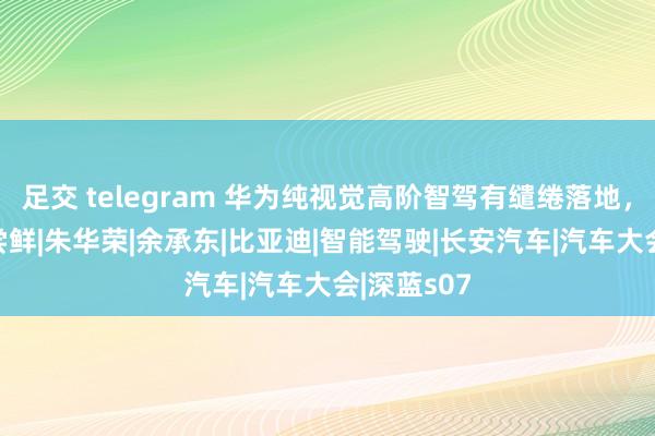 足交 telegram 华为纯视觉高阶智驾有缱绻落地，深蓝S07尝鲜|朱华荣|余承东|比亚迪|智能驾驶|长安汽车|汽车大会|深蓝s07