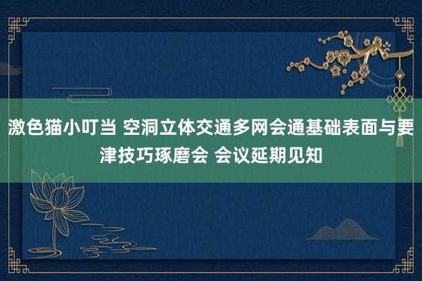 激色猫小叮当 空洞立体交通多网会通基础表面与要津技巧琢磨会 会议延期见知