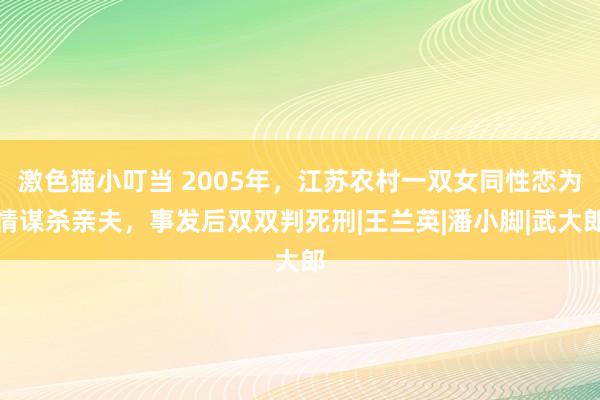 激色猫小叮当 2005年，江苏农村一双女同性恋为情谋杀亲夫，