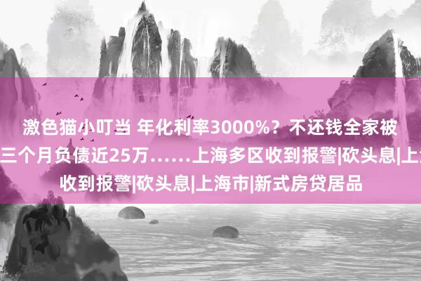 激色猫小叮当 年化利率3000%？不还钱全家被追讨，有东说念