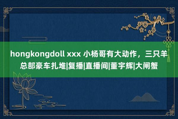 hongkongdoll xxx 小杨哥有大动作，三只羊总部