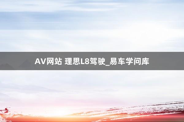 AV网站 理思L8驾驶_易车学问库