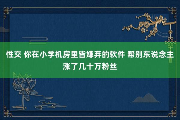 性交 你在小学机房里皆嫌弃的软件 帮别东说念主涨了几十万粉丝